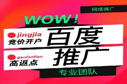 成功案例：竞价推广助力品牌打造知名品牌